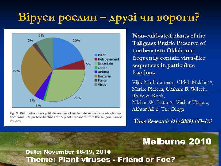 Віруси рослин – друзі чи вороги?      Non-cultivated plants of