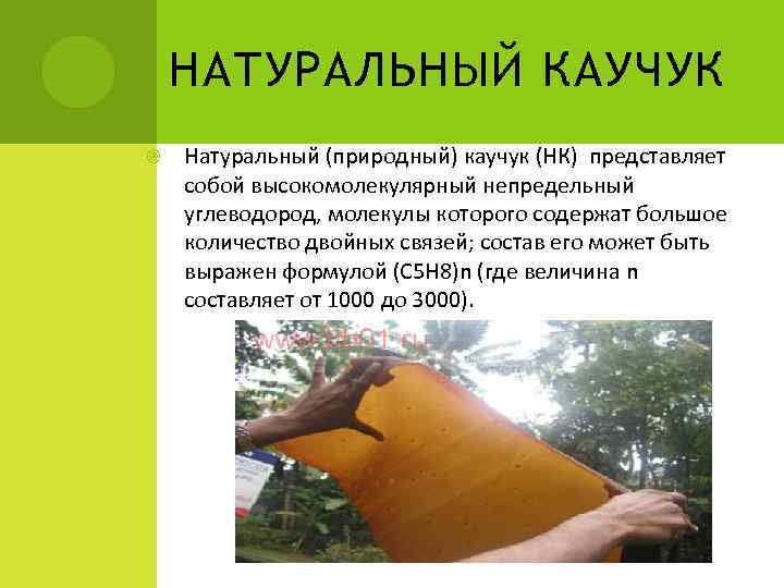   НАТУРАЛЬНЫЙ КАУЧУК Натуральный (природный) каучук (НК) представляет собой высокомолекулярный непредельный углеводород, молекулы