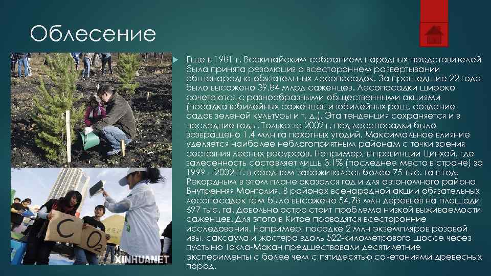 Облесение   Еще в 1981 г. Всекитайским собранием народных представителей   была