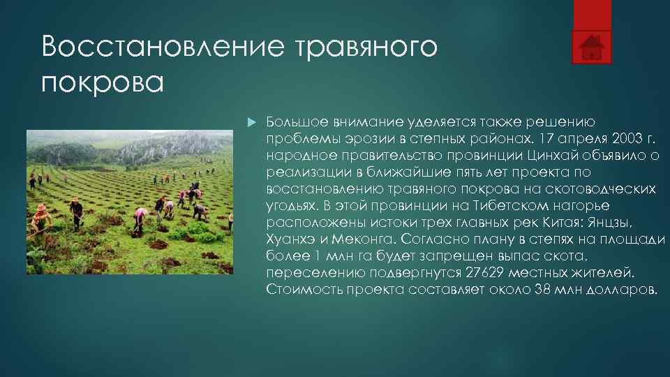 Восстановление травяного покрова   Большое внимание уделяется также решению   проблемы эрозии