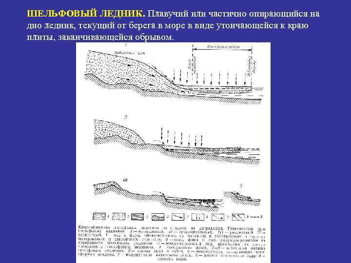 ШЕЛЬФОВЫЙ ЛЕДНИК. Плавучий или частично опирающийся на дно ледник, текущий от берега в море