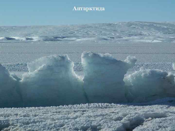 Антарктида 