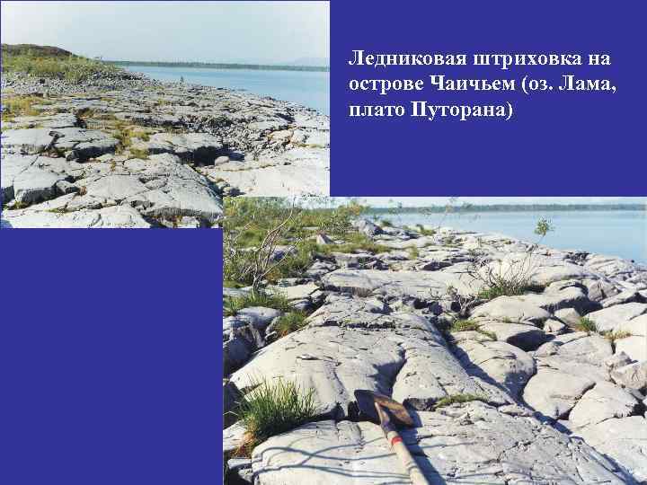 Ледниковая штриховка на острове Чаичьем (оз. Лама, плато Путорана) 