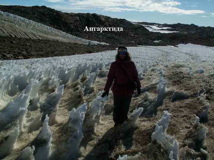 Антарктида 