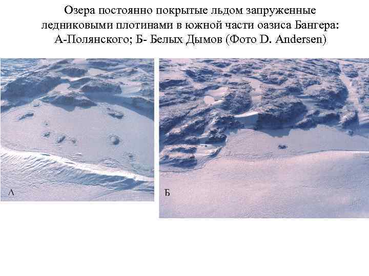   Озера постоянно покрытые льдом запруженные ледниковыми плотинами в южной части оазиса Бангера: