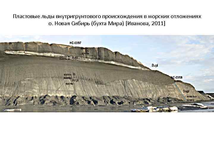 Пластовые льды внутригрунтового происхождения в морских отложениях   о. Новая Сибирь (бухта Мира)