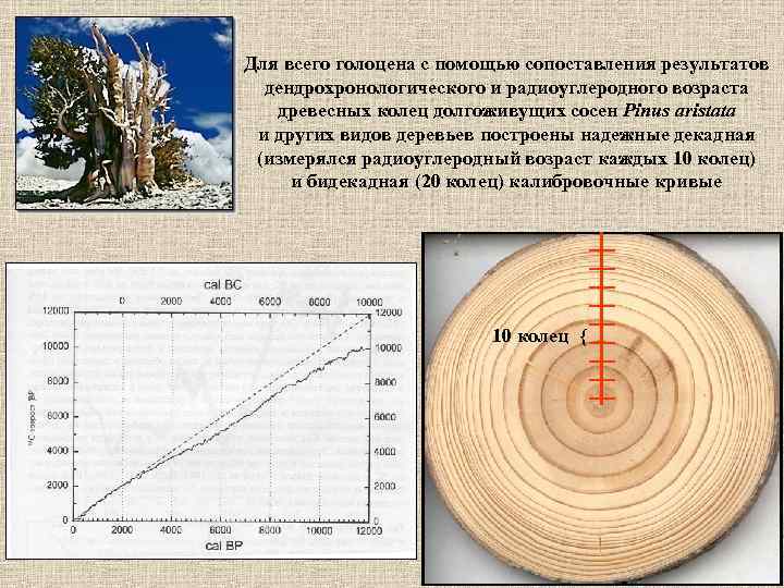 Метод радиоуглеродного анализа презентация