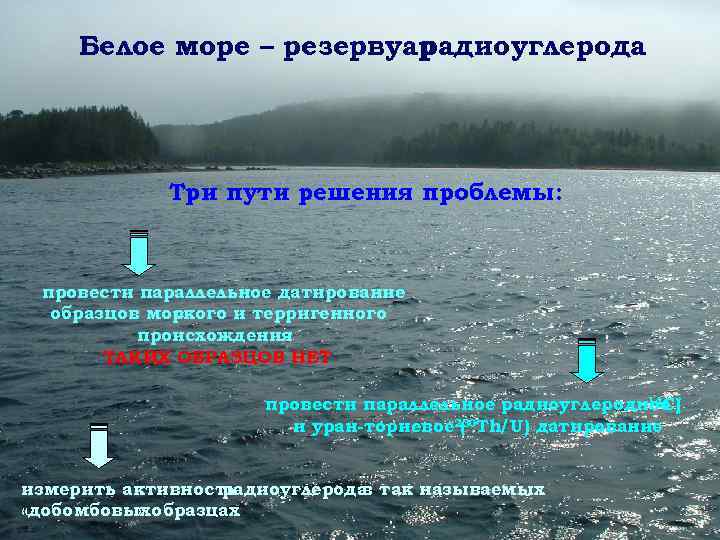  Белое море – резервуар      радиоуглерода   Три