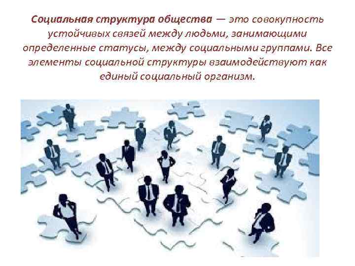 Социальная структура общества — это совокупность  устойчивых связей между людьми, занимающими определенные