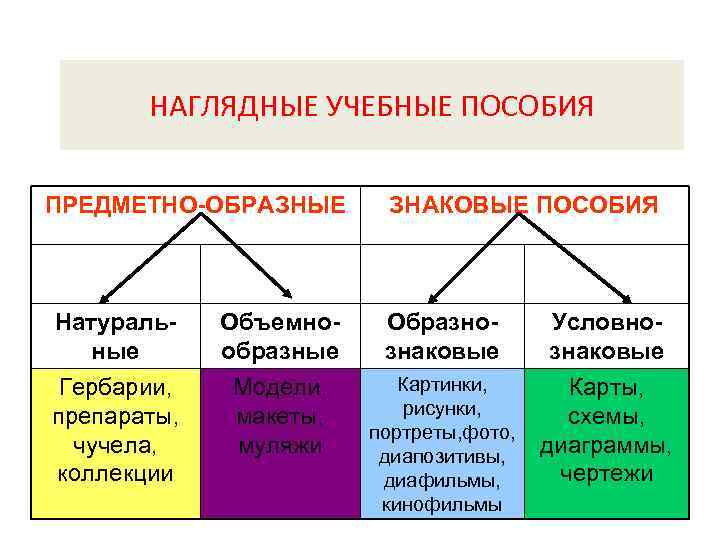   НАГЛЯДНЫЕ УЧЕБНЫЕ ПОСОБИЯ  ПРЕДМЕТНО-ОБРАЗНЫЕ  ЗНАКОВЫЕ ПОСОБИЯ  Натураль-  Объемно-