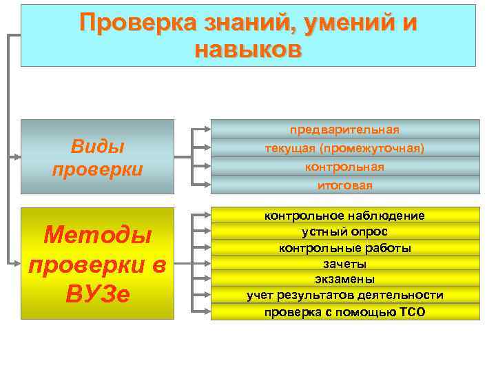   Проверка знаний, умений и  навыков    предварительная  Виды