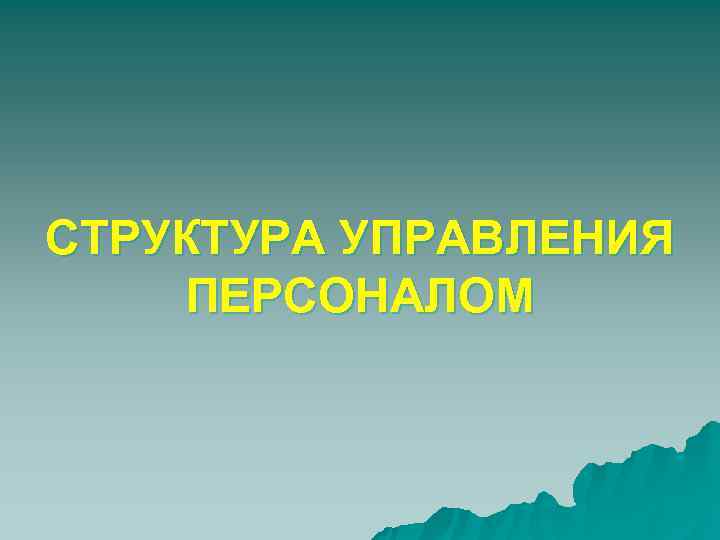 СТРУКТУРА УПРАВЛЕНИЯ ПЕРСОНАЛОМ 