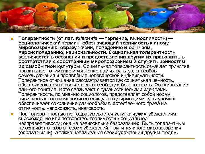 n Толера нтность (от лат. tolerantia — терпение, выносливость) — социологический термин, обозначающий n Толера нтность (от лат. tolerantia — терпение, выносливость) — социологический термин, обозначающий