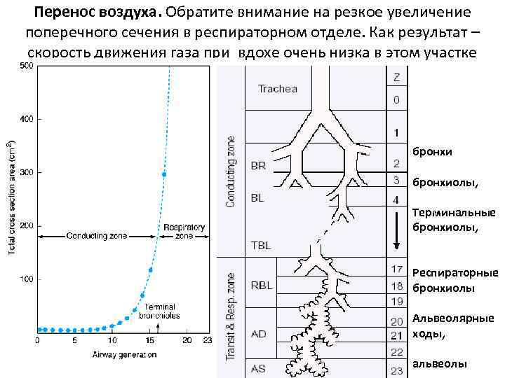 Перемещение воздуха