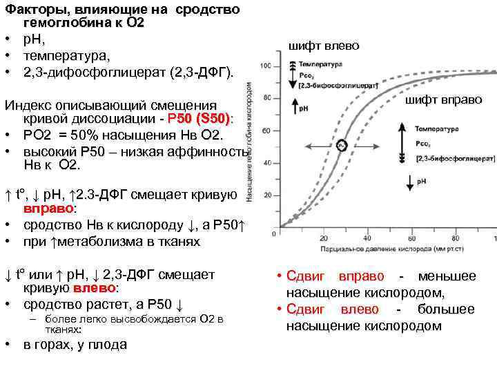 Факторы, влияющие на сродство гемоглобина к О 2 • p. H, Факторы, влияющие на сродство гемоглобина к О 2 • p. H,