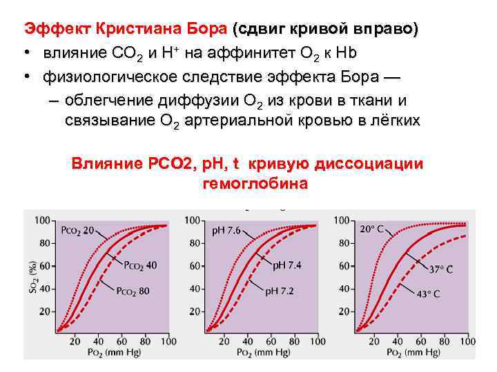 Эффект Кристиана Бора (сдвиг кривой вправо) • влияние CO 2 и H+ на аффинитет Эффект Кристиана Бора (сдвиг кривой вправо) • влияние CO 2 и H+ на аффинитет