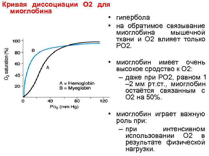 Кривая диссоциации О 2 для миоглобина • гипербола Кривая диссоциации О 2 для миоглобина • гипербола