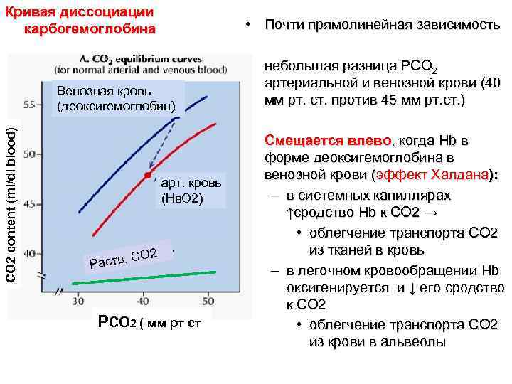 Кривая диссоциации карбогемоглобина • Почти прямолинейная зависимость Кривая диссоциации карбогемоглобина • Почти прямолинейная зависимость