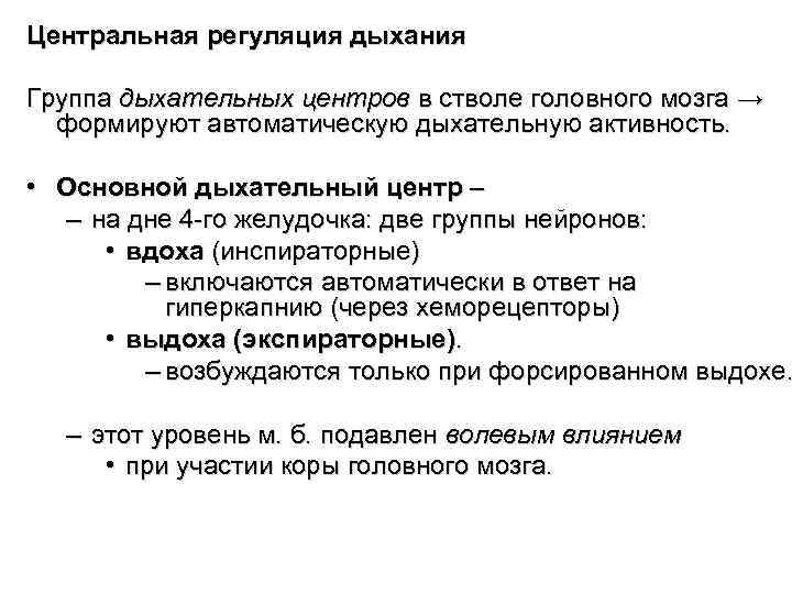 Центральная регуляция дыхания Группа дыхательных центров в стволе головного мозга → формируют автоматическую Центральная регуляция дыхания Группа дыхательных центров в стволе головного мозга → формируют автоматическую