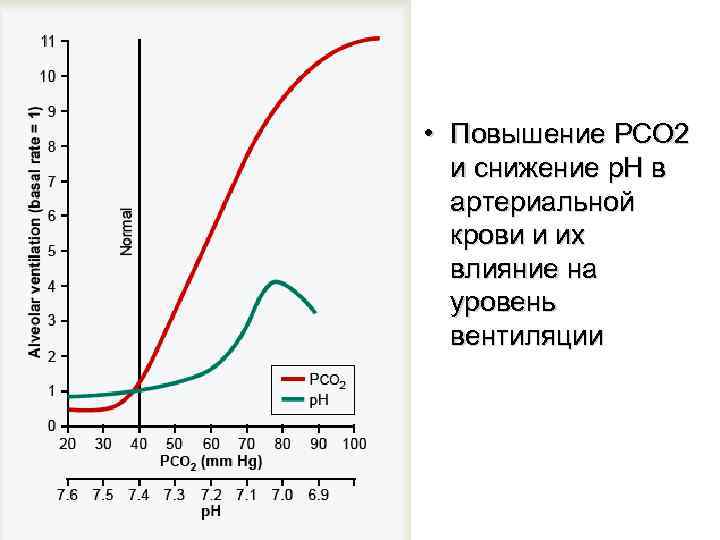 • Повышение PCO 2 и снижение p. H в артериальной • Повышение PCO 2 и снижение p. H в артериальной