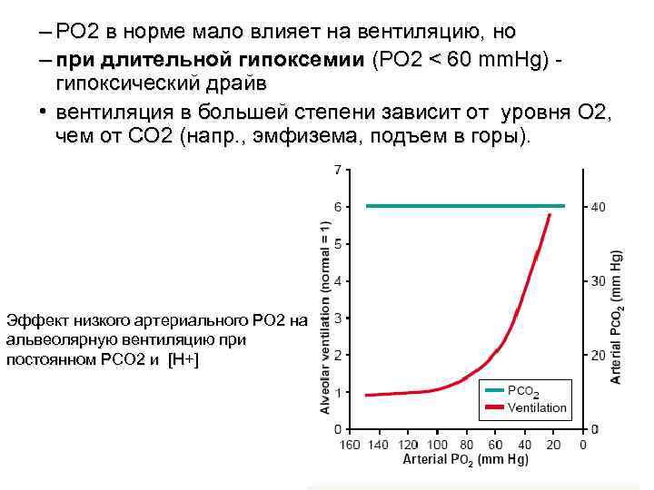 – PO 2 в норме мало влияет на вентиляцию, но – – PO 2 в норме мало влияет на вентиляцию, но –