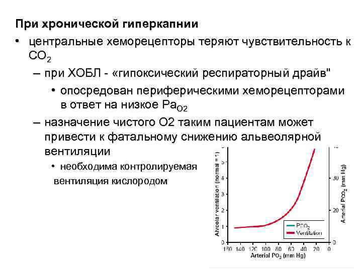При хронической гиперкапнии • центральные хеморецепторы теряют чувствительность к CO 2 – при При хронической гиперкапнии • центральные хеморецепторы теряют чувствительность к CO 2 – при