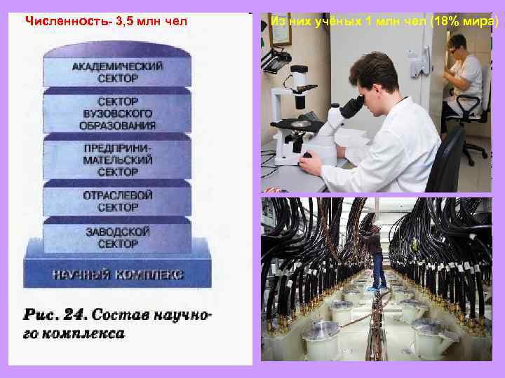 Численность- 3, 5 млн чел  Из них учёных 1 млн чел (18% мира)