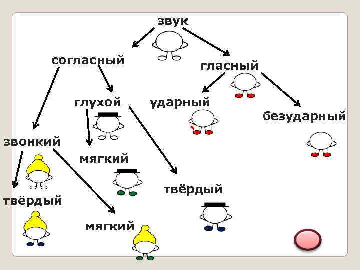     звук  согласный   глухой  ударный  