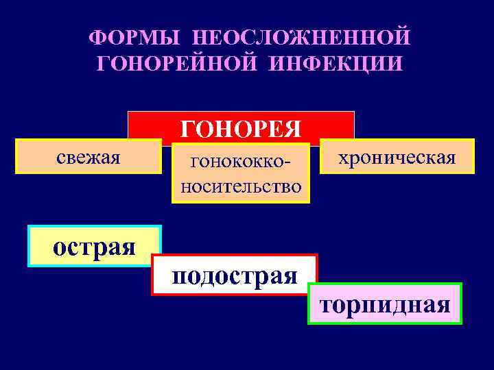 ФОРМЫ НЕОСЛОЖНЕННОЙ ГОНОРЕЙНОЙ ИНФЕКЦИИ ГОНОРЕЯ свежая гонококко- хроническая ФОРМЫ НЕОСЛОЖНЕННОЙ ГОНОРЕЙНОЙ ИНФЕКЦИИ ГОНОРЕЯ свежая гонококко- хроническая