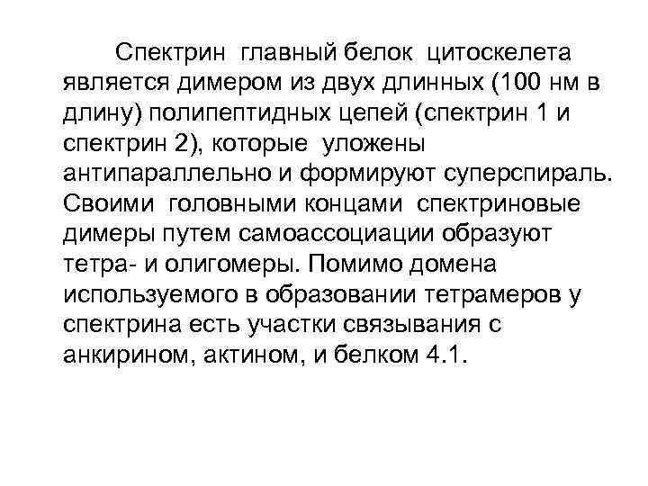   Спектрин главный белок цитоскелета является димером из двух длинных (100 нм в