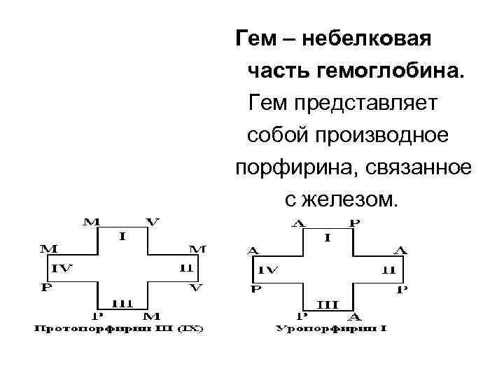 Гем – небелковая часть гемоглобина.  Гем представляет собой производное порфирина, связанное с железом.