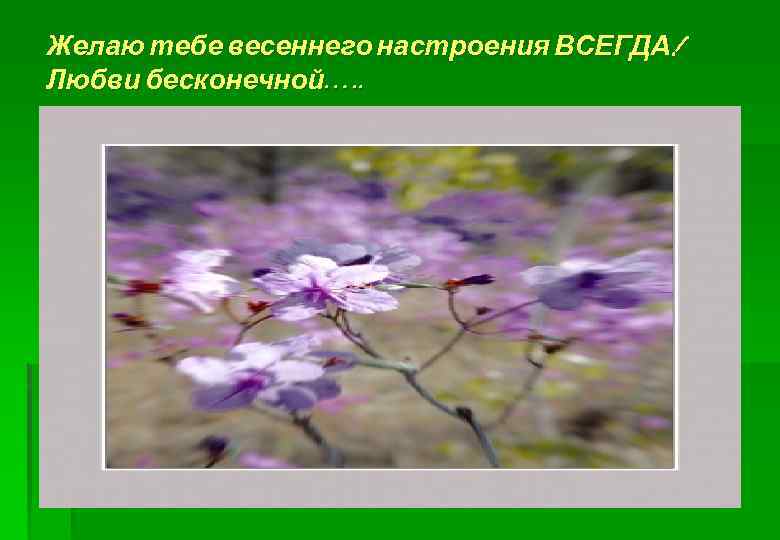 Желаю тебе весеннего настроения ВСЕГДА! Любви бесконечной…. . 