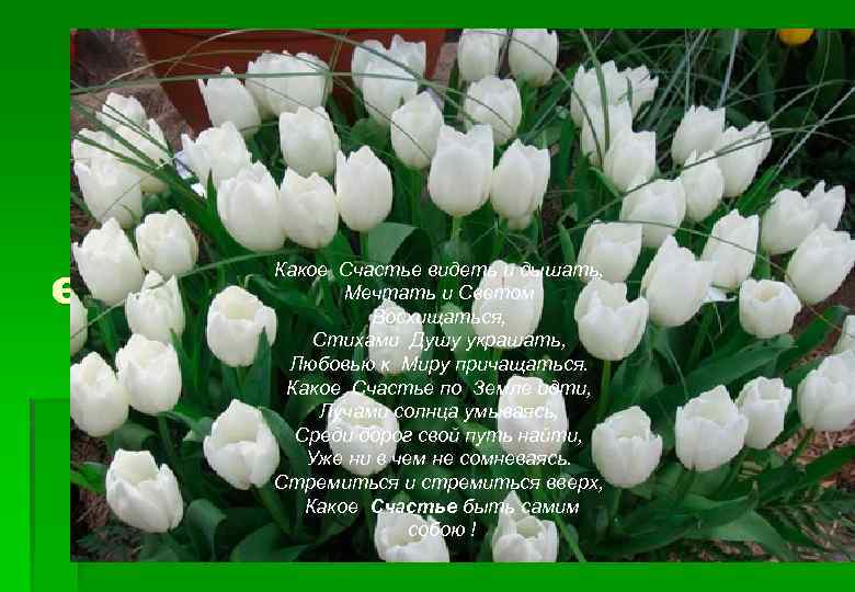 е Какое Счастье видеть и дышать,   Мечтать и Светом   Восхищаться,