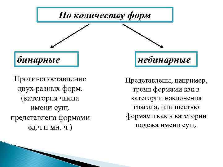   По количеству форм бинарные   небинарные Противопоставление Представлены, например,  двух