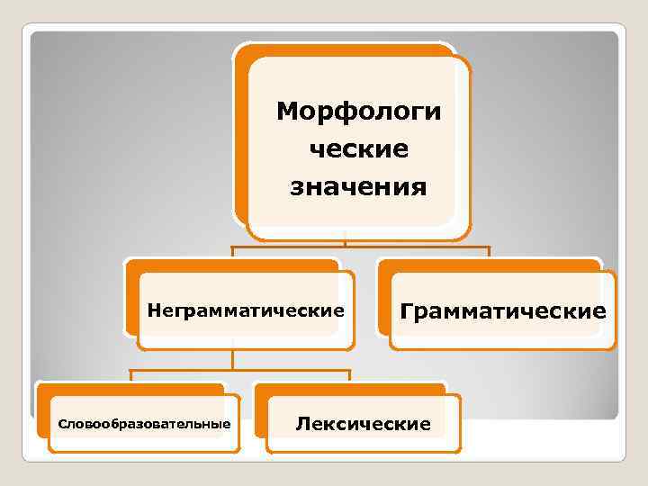     Морфологи     ческие    значения