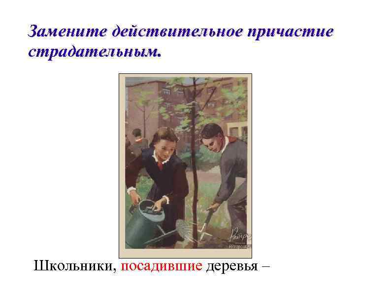 Замените действительное причастие страдательным. Школьники, посадившие деревья – 