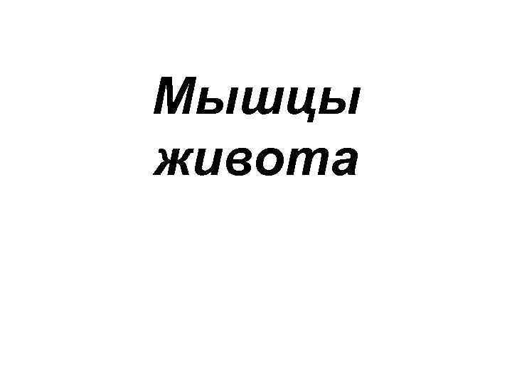 Мышцы живота 