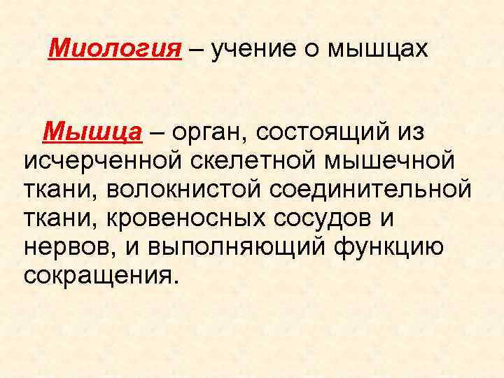  Миология – учение о мышцах Мышца – орган, состоящий из исчерченной скелетной мышечной