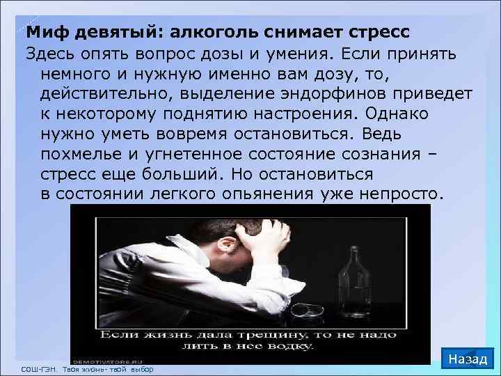 Миф девятый: алкоголь снимает стресс Здесь опять вопрос дозы и умения. Если принять