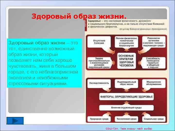    Здоровый образ жизни – это тот, единственно возможный образ жизни, который