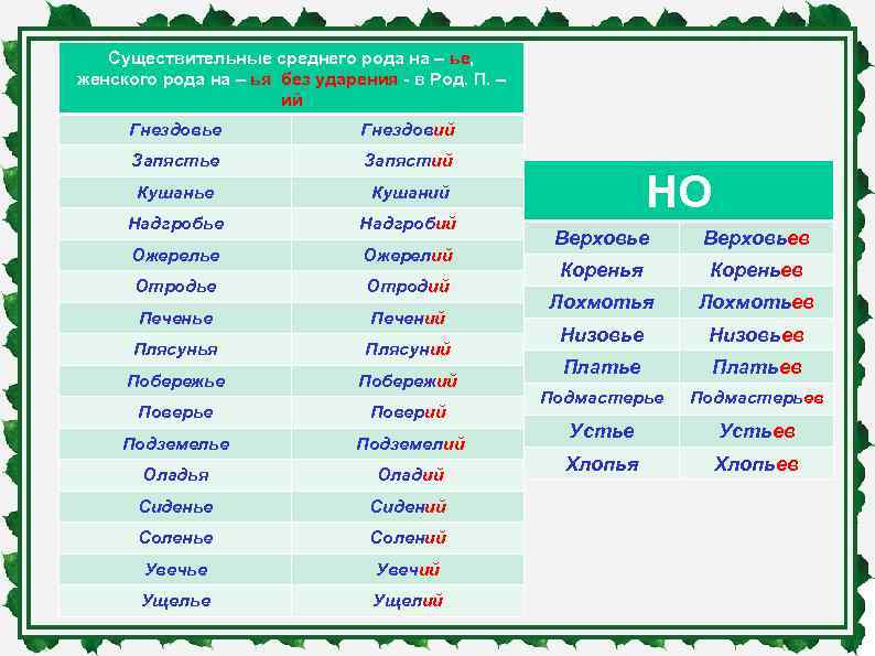   Существительные среднего рода на – ье, женского рода на – ья без