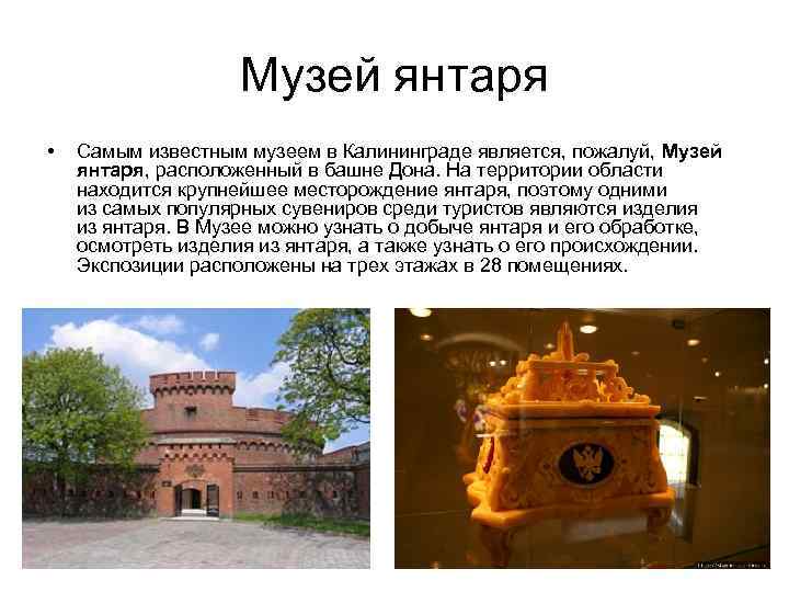     Музей янтаря •  Самым известным музеем в Калининграде является,