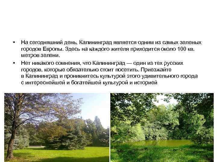  •  На сегодняшний день, Калининград является одним из самых зеленых городов Европы.