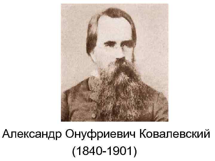 Александр Онуфриевич Ковалевский  (1840 -1901) 
