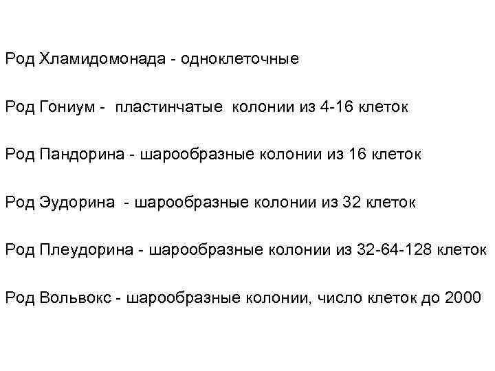 Род Хламидомонада - одноклеточные Род Гониум - пластинчатые колонии из 4 -16 клеток Род