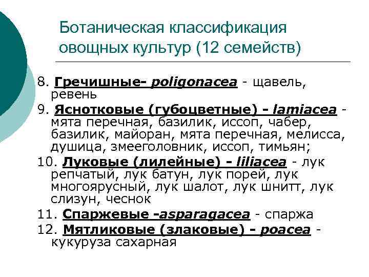   Ботаническая классификация  овощных культур (12 семейств) 8. Гречишные- poligonacea - щавель,