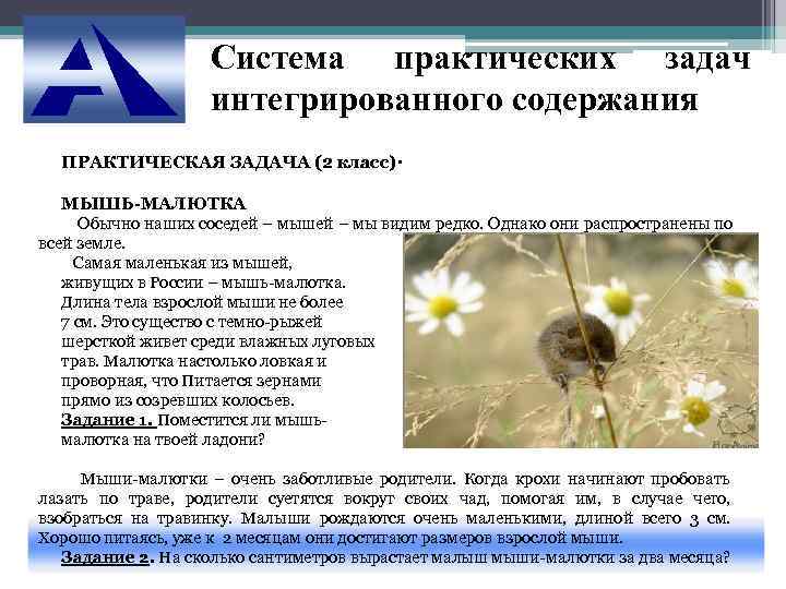     Система практических задач     интегрированного содержания 