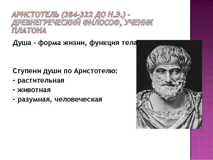 Душа – форма жизни, функция тела  Ступени души по Аристотелю: - растительная -