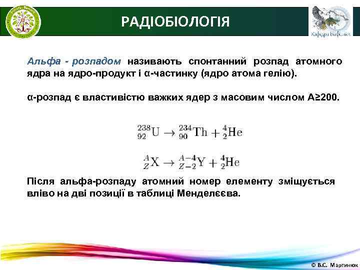    РАДІОБІОЛОГІЯ Альфа - розпадом називають спонтанний розпад атомного ядра на ядро-продукт