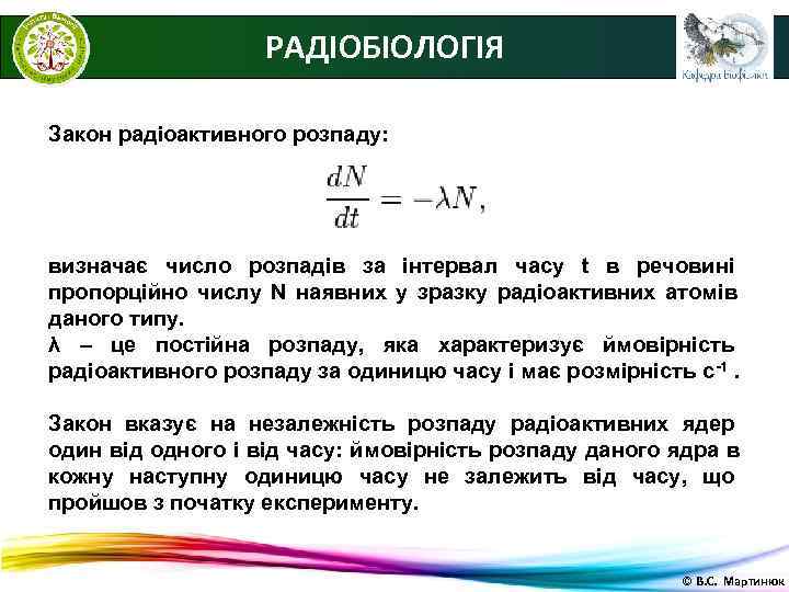     РАДІОБІОЛОГІЯ Закон радіоактивного розпаду: визначає число розпадів за інтервал часу